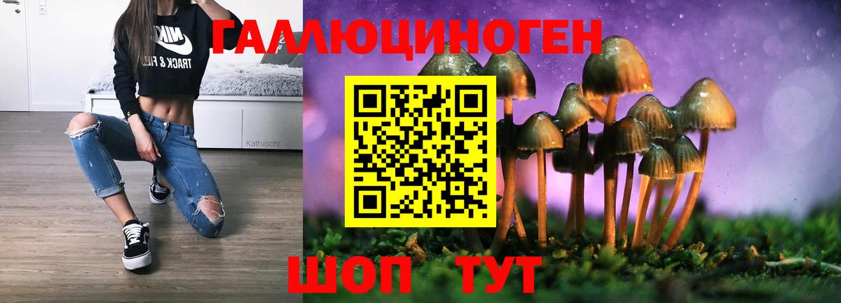 Петропавловск-Камчатский  Псилоцибиновые грибы Psilocybine cubensis  Вход с VPN 