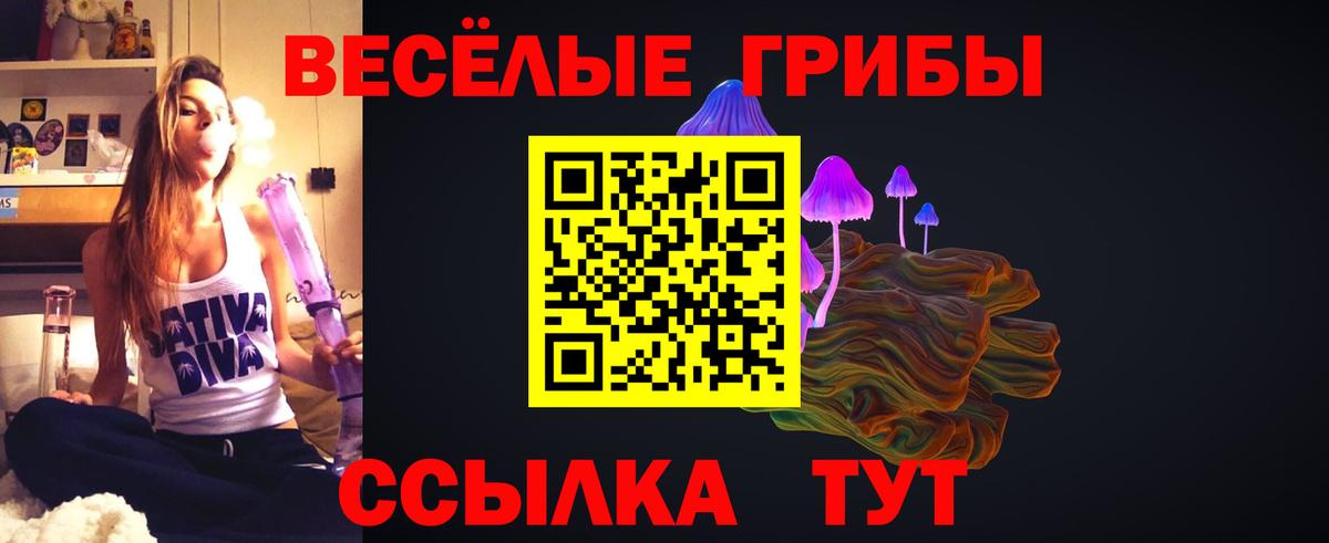 Галлюциногенные грибы Psilocybine cubensis Петропавловск-Камчатский